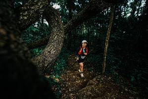 BIB: 
                            <button type="button" onclick="openModal(25699758)" class="btn btn-primary btn-sm float-right btn-popup" data-toggle="modal" data-target=".modal-high-quality">
                        <i class="fas fa-shopping-cart"></i> Add to Cart
                    </button>
                                            <button type="button" onclick="isThisMe(25699758, true)" class="btn btn-success btn-sm float-right btn-popup btn-isme hidden" data-toggle="tooltip" data-placement="bottom" title="นี่คือรูปของคุณใช่ไหม คลิกที่นี่เพื่อเอาเข้าอัลบั้ม">
                        <i class="fas fa-plus"></i> Add to album
                    </button>
                    <button type="button" onclick="isThisMe(25699758, false)" class="btn btn-warning btn-sm float-right btn-popup btn-isnotme hidden">
                        <i class="fas fa-ban"></i> Remove from album
                    </button>